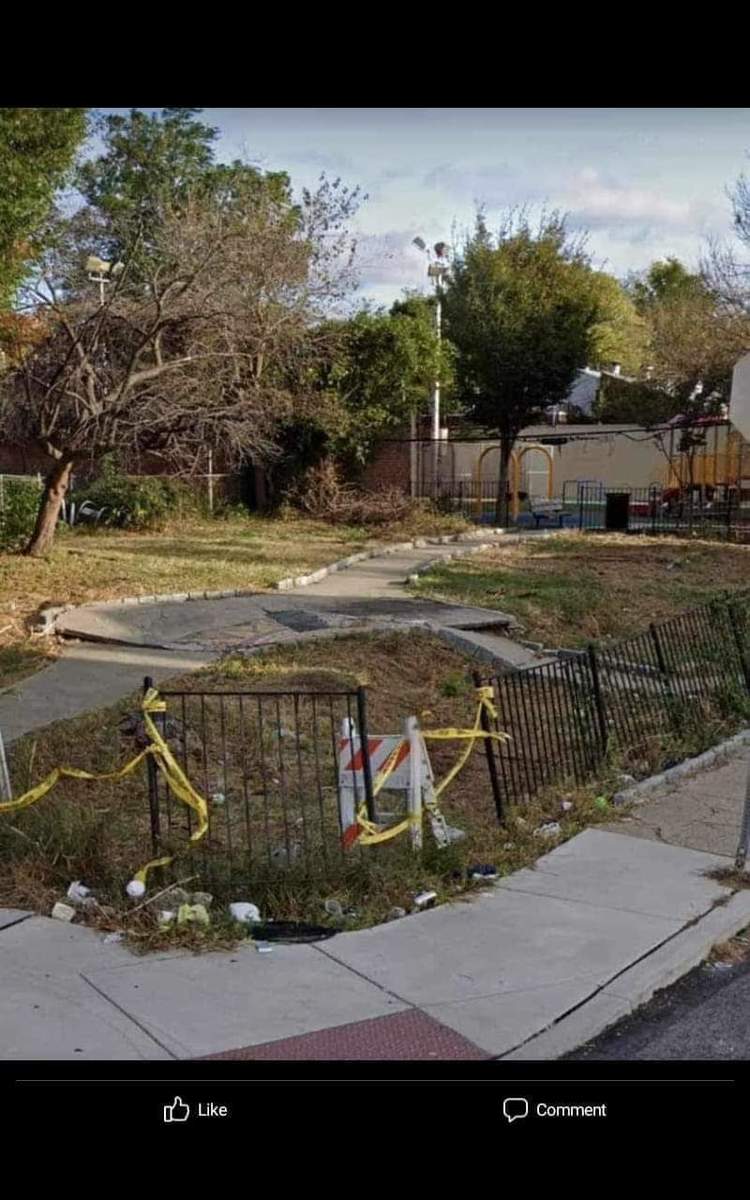 Photographic documentation of the work as submitted to the city's 311 record.