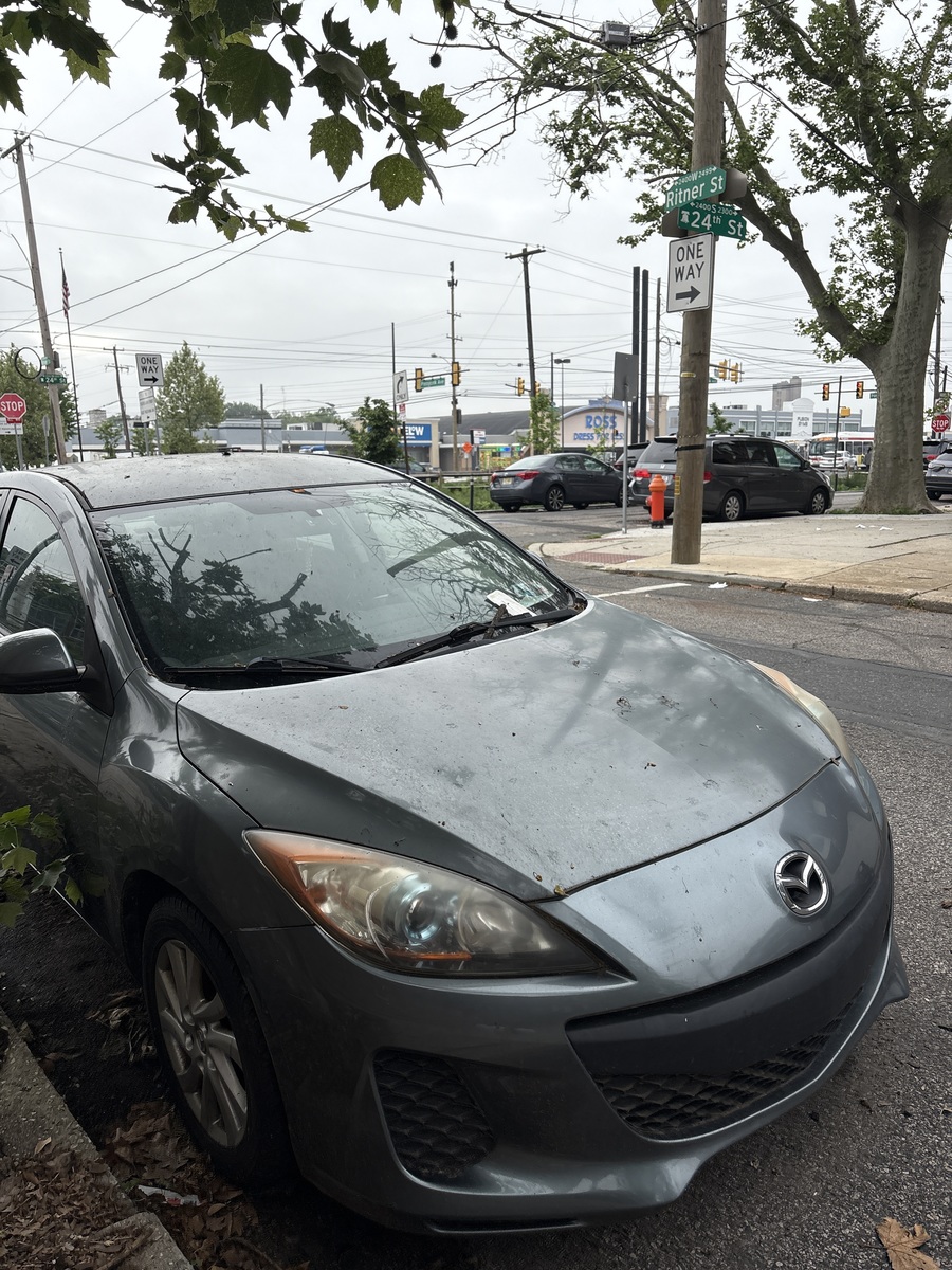 Photographic documentation of the work as submitted to the city's 311 record.