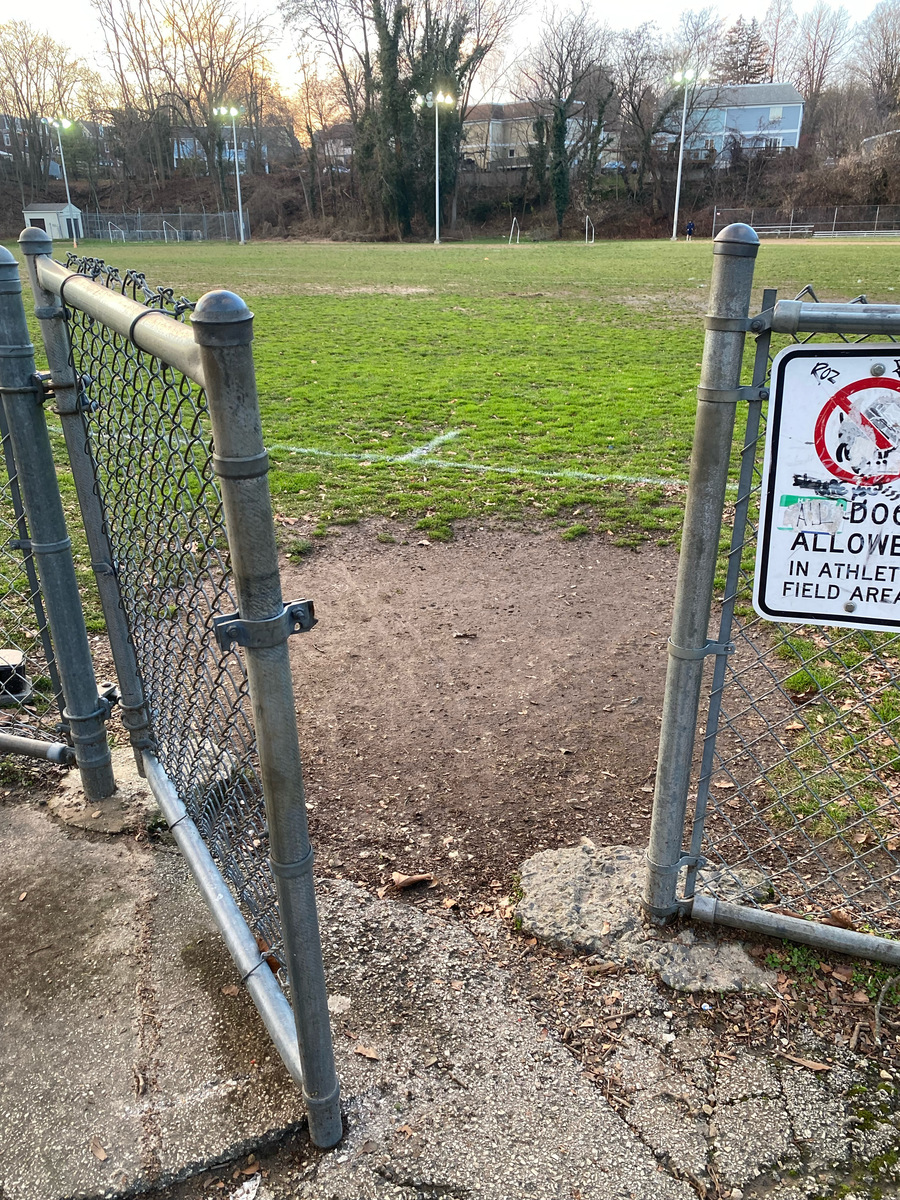 Photographic documentation of the work as submitted to the city's 311 record.