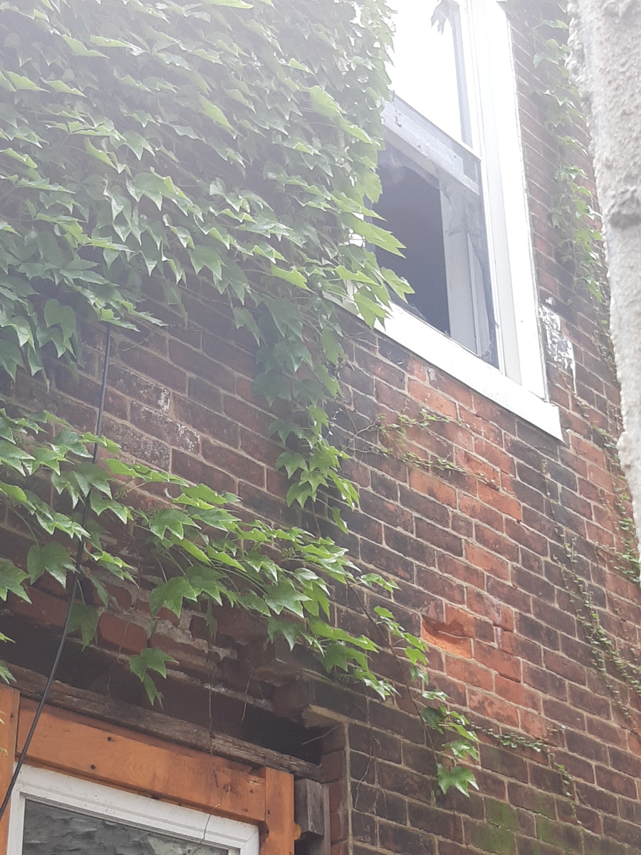 Photographic documentation of the work as submitted to the city's 311 record.