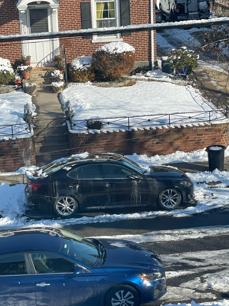 Photographic documentation of the work as submitted to the city's 311 record.