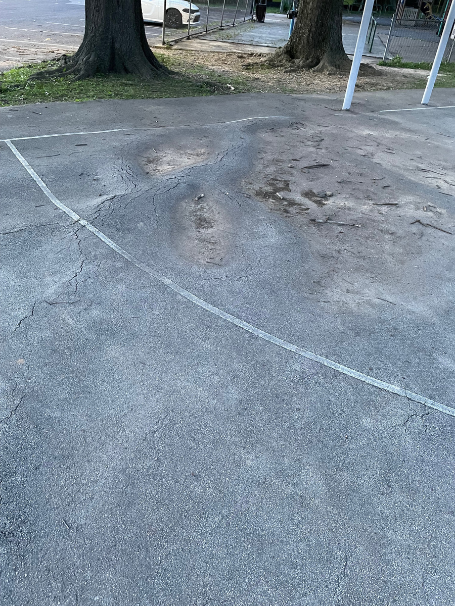 Photographic documentation of the work as submitted to the city's 311 record.