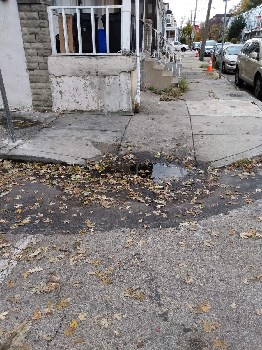 Photographic documentation of the work as submitted to the city's 311 record.