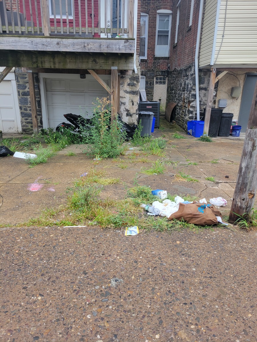Photographic documentation of the work as submitted to the city's 311 record.
