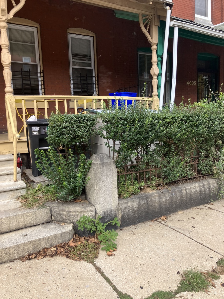 Photographic documentation of the work as submitted to the city's 311 record.