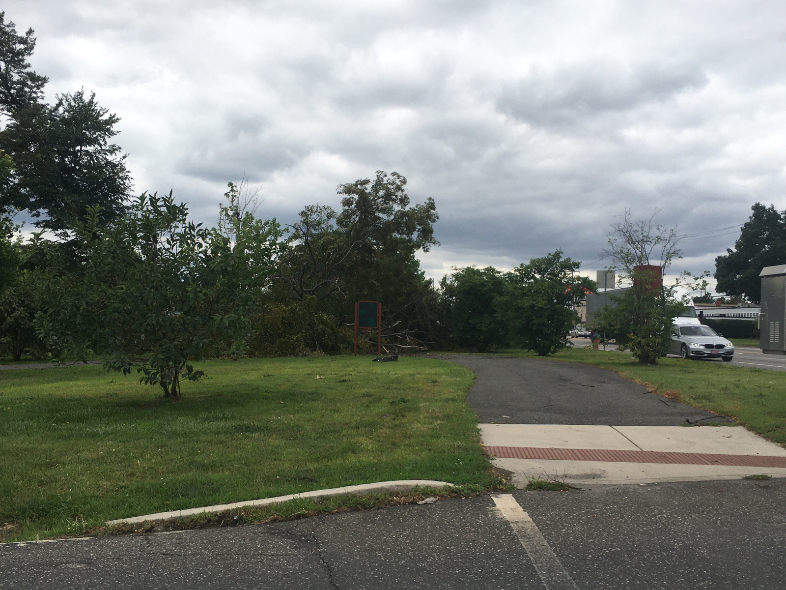 Photographic documentation of the work as submitted to the city's 311 record.