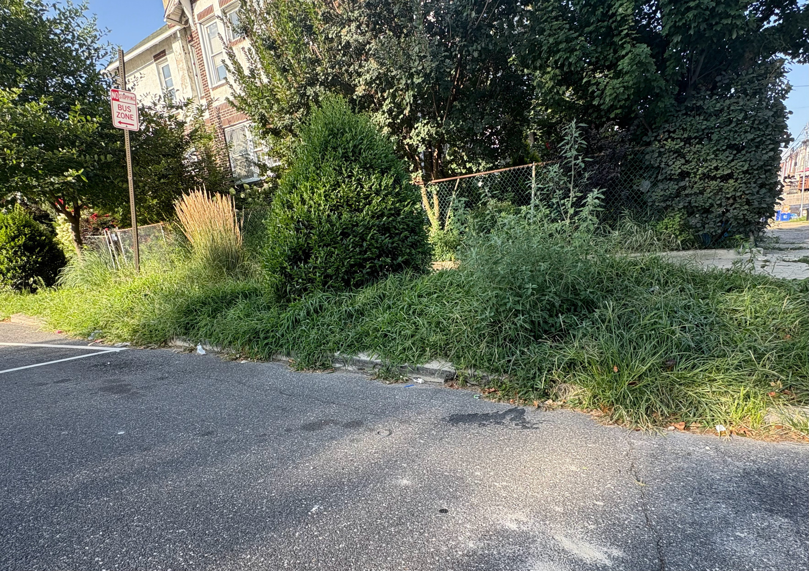 Photographic documentation of the work as submitted to the city's 311 record.