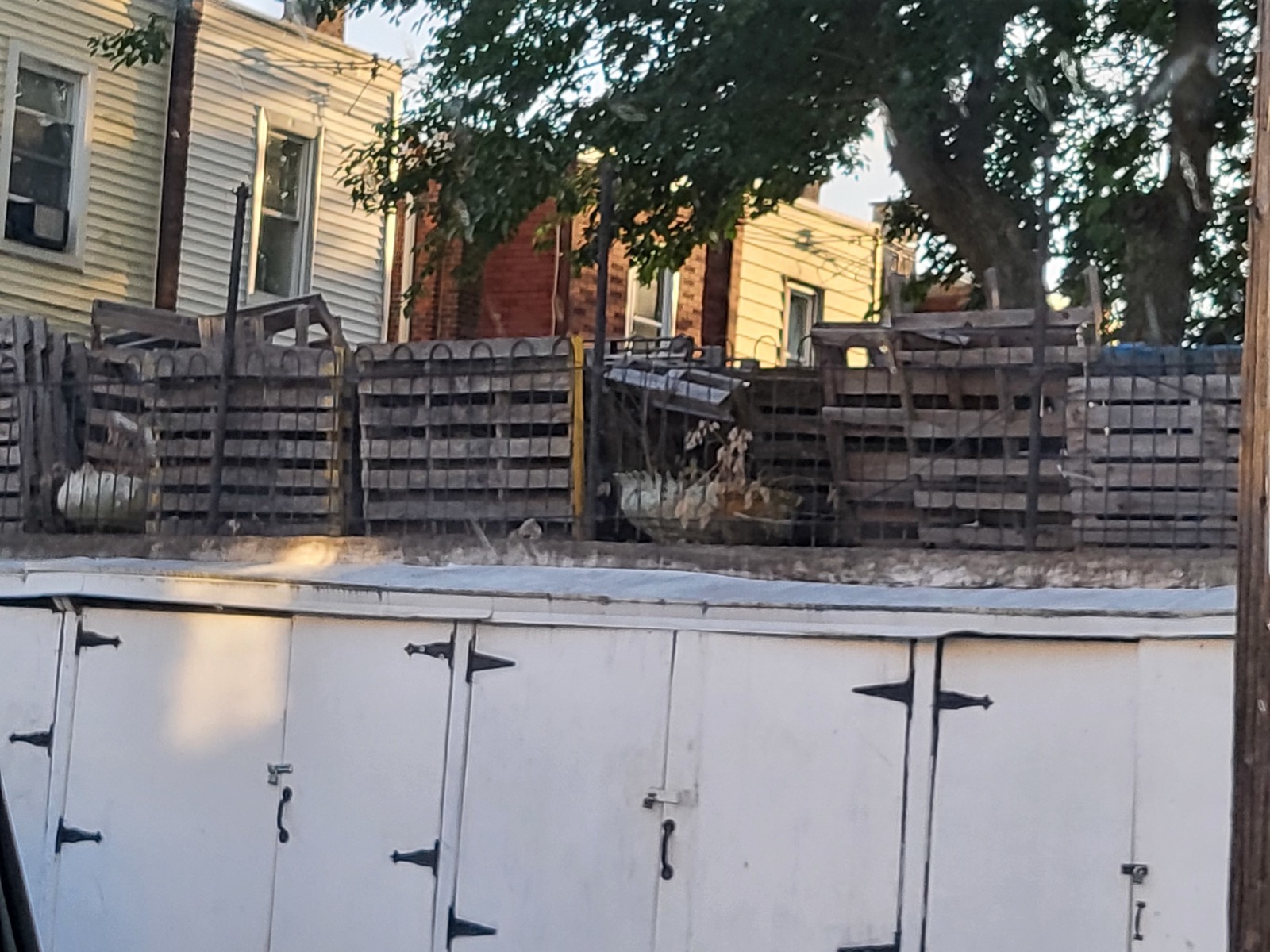 Photographic documentation of the work as submitted to the city's 311 record.