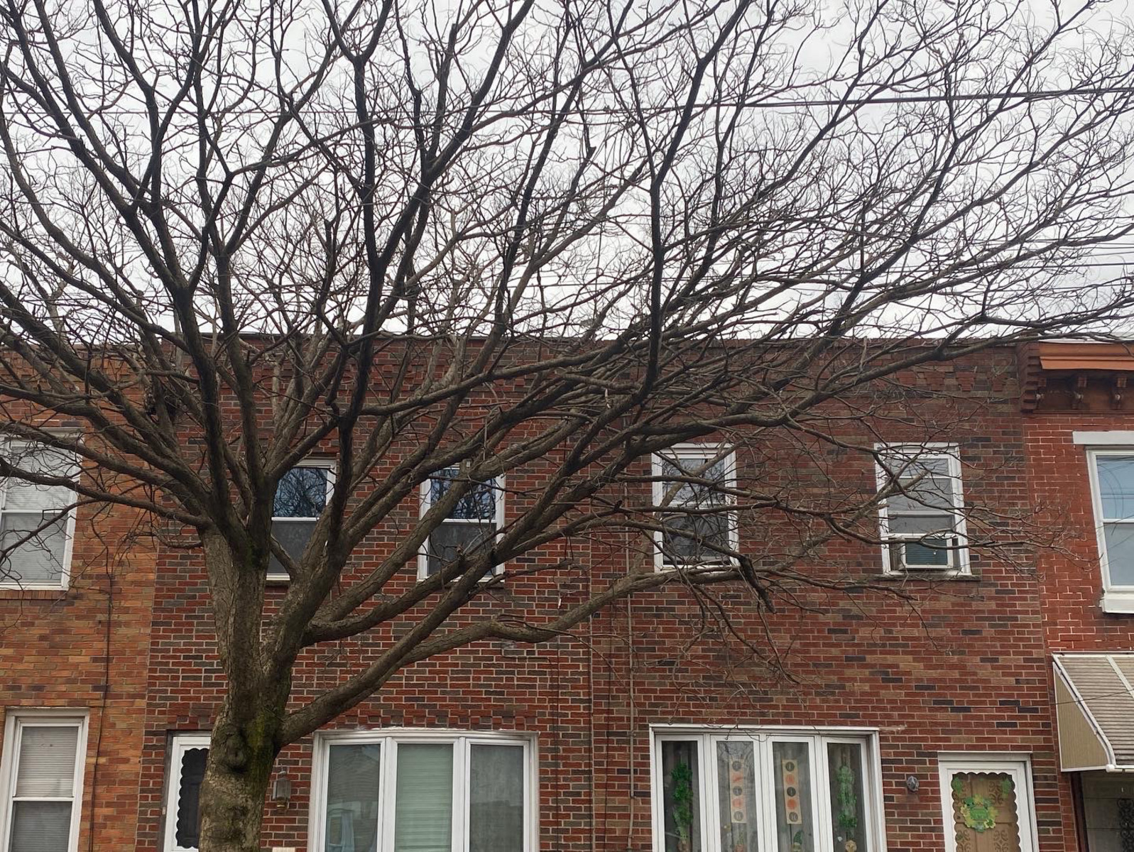 Photographic documentation of the work as submitted to the city's 311 record.