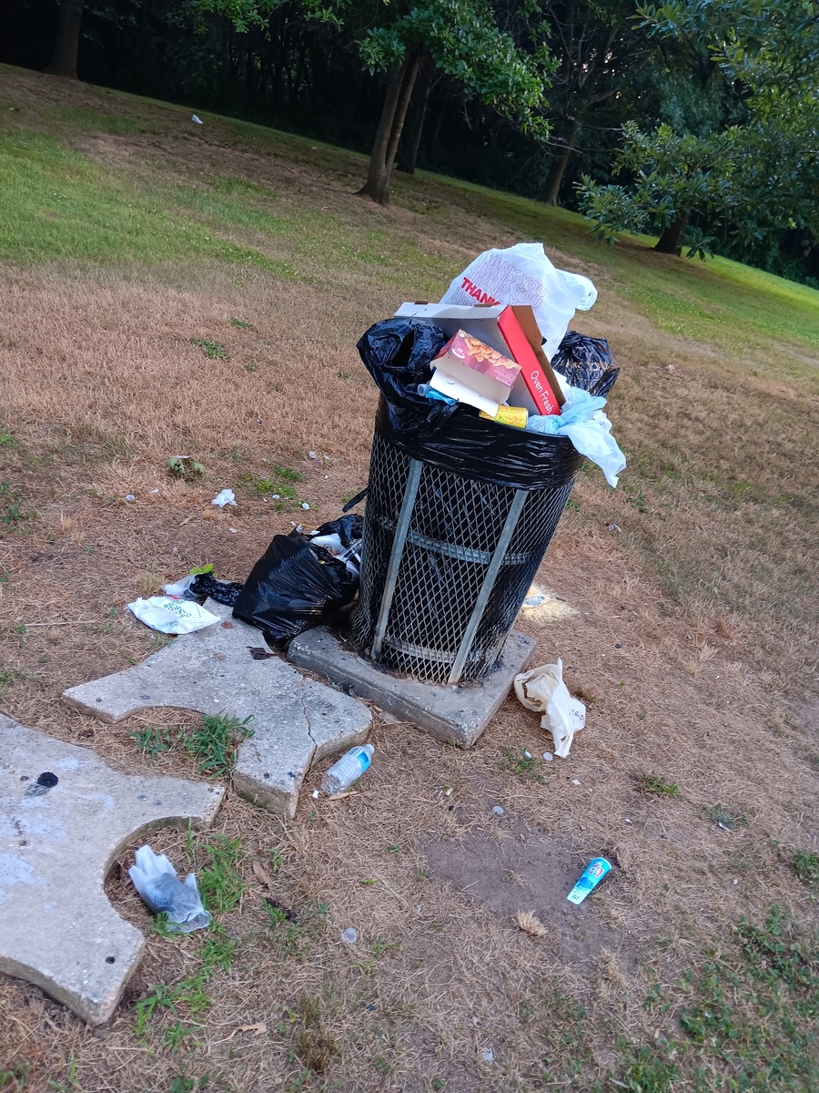 Photographic documentation of the work as submitted to the city's 311 record.