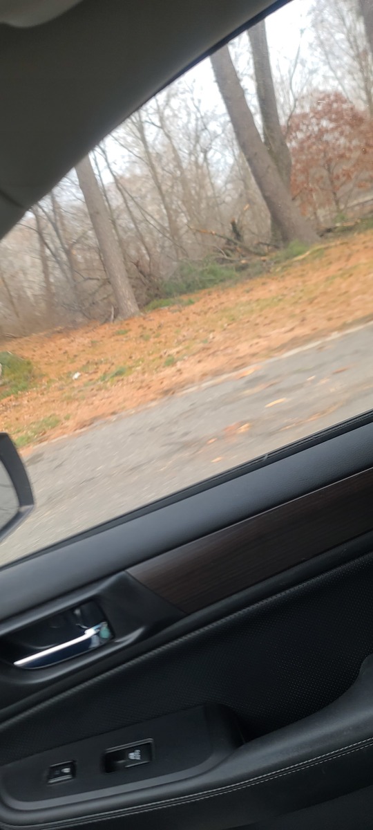 Photographic documentation of the work as submitted to the city's 311 record.