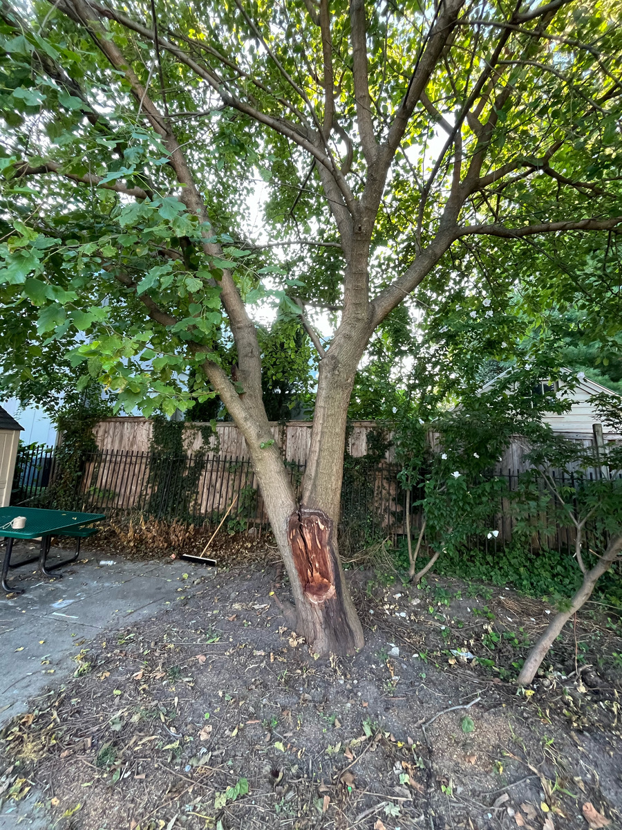 Photographic documentation of the work as submitted to the city's 311 record.