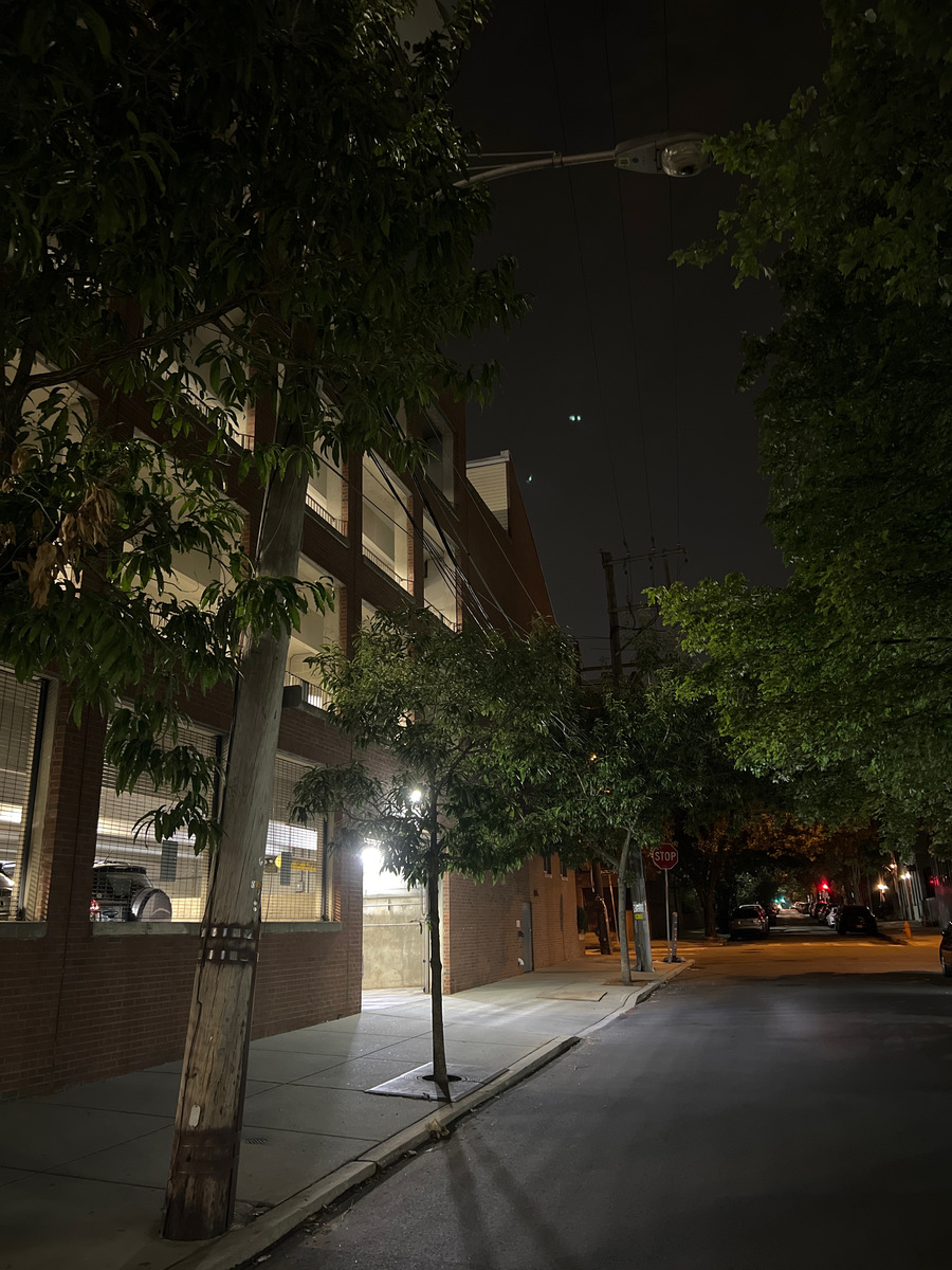 Photographic documentation of the work as submitted to the city's 311 record.