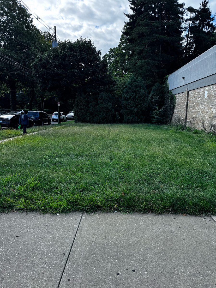 Photographic documentation of the work as submitted to the city's 311 record.