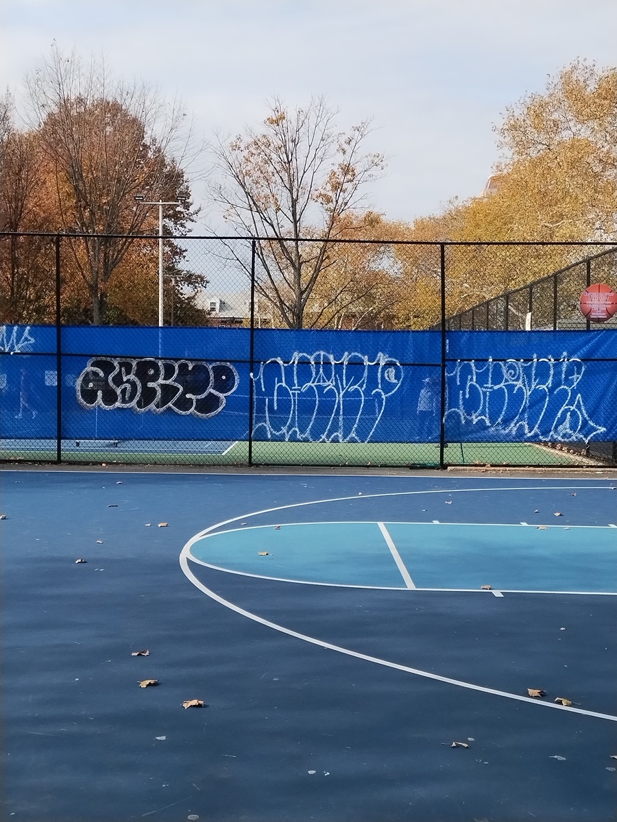 Photographic documentation of the work as submitted to the city's 311 record.