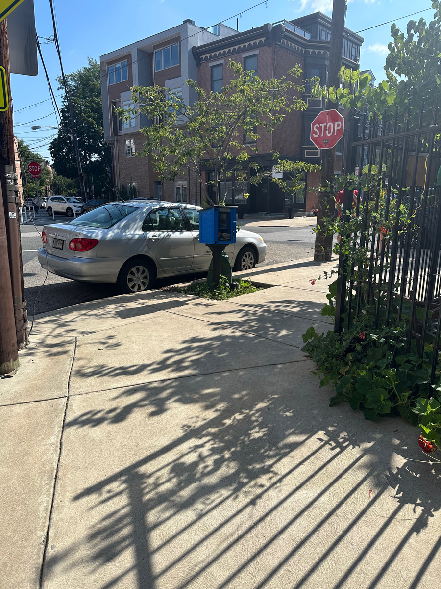 Photographic documentation of the work as submitted to the city's 311 record.