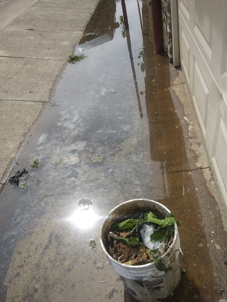 Photographic documentation of the work as submitted to the city's 311 record.