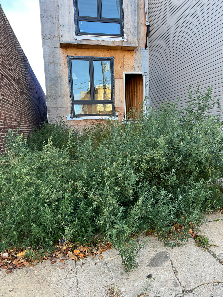 Photographic documentation of the work as submitted to the city's 311 record.