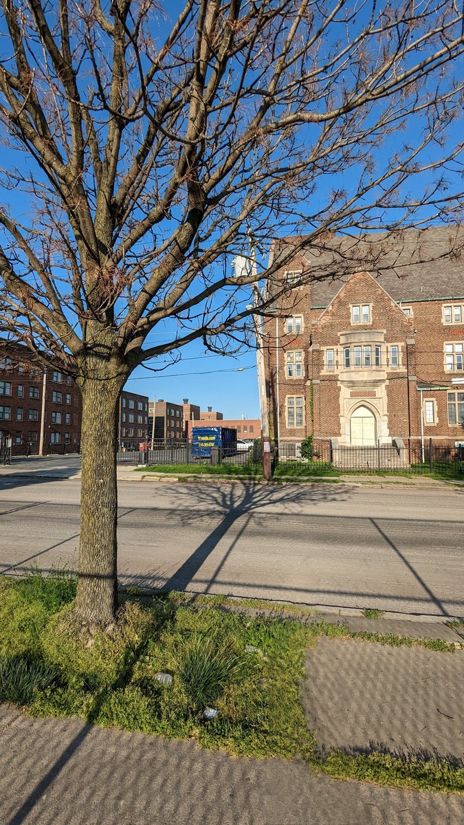 Photographic documentation of the work as submitted to the city's 311 record.
