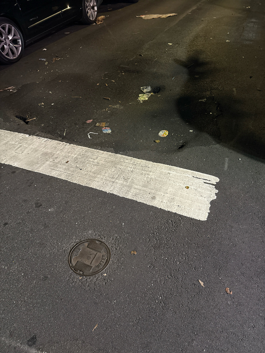 Photographic documentation of the work as submitted to the city's 311 record.