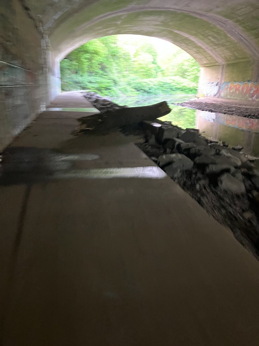Photographic documentation of the work as submitted to the city's 311 record.