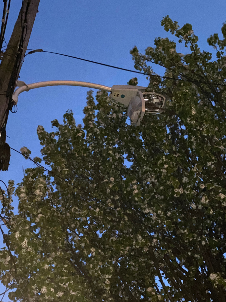 Photographic documentation of the work as submitted to the city's 311 record.