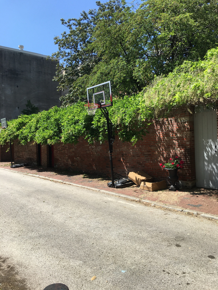 Photographic documentation of the work as submitted to the city's 311 record.