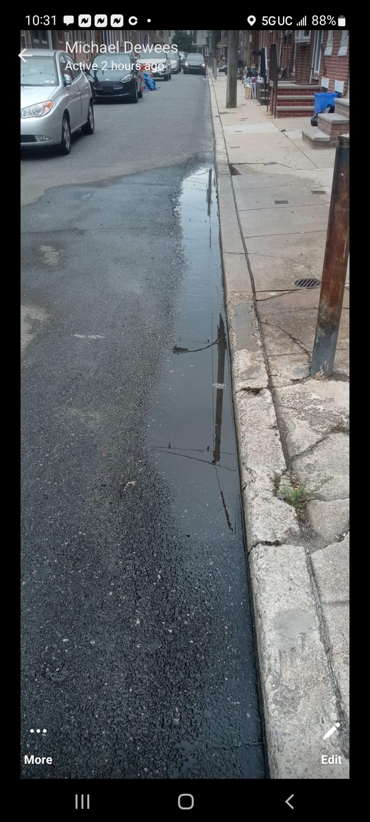 Photographic documentation of the work as submitted to the city's 311 record.