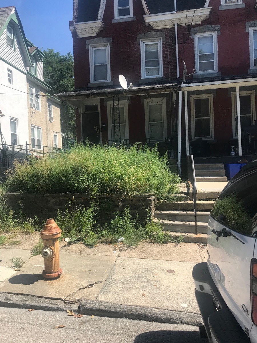 Photographic documentation of the work as submitted to the city's 311 record.