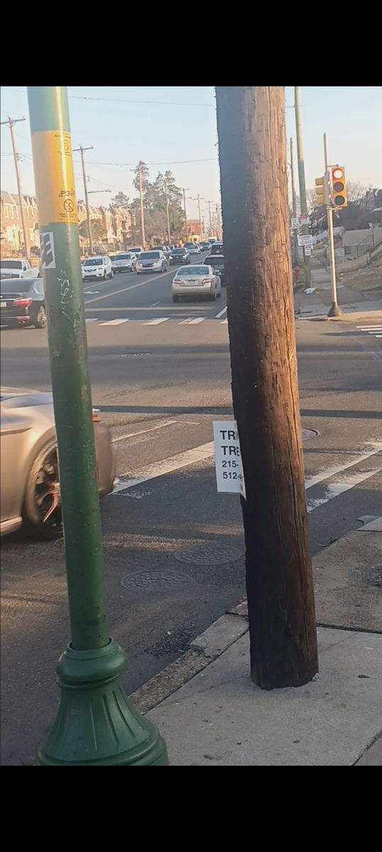Photographic documentation of the work as submitted to the city's 311 record.