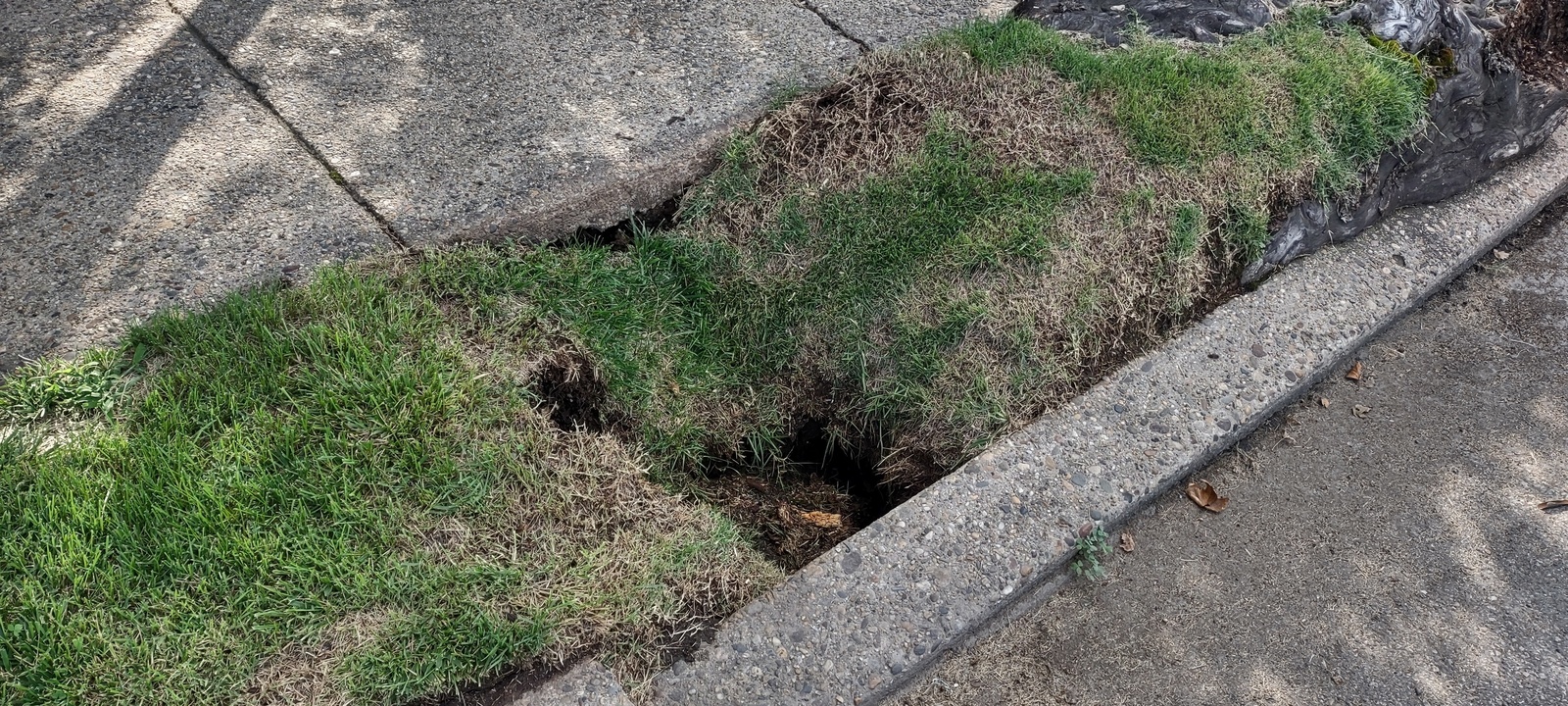 Photographic documentation of the work as submitted to the city's 311 record.