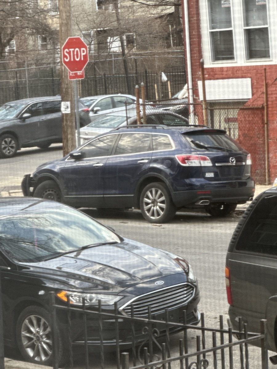 Photographic documentation of the work as submitted to the city's 311 record.