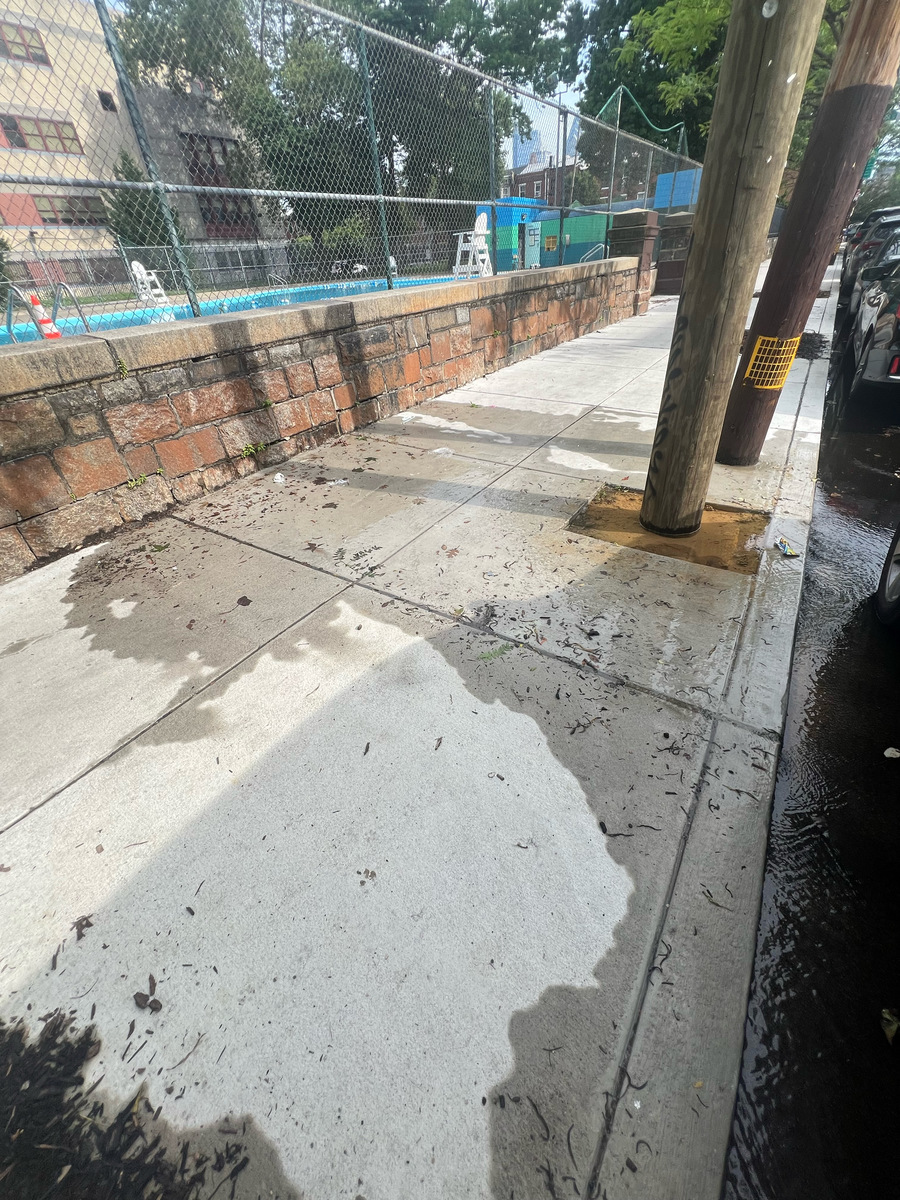 Photographic documentation of the work as submitted to the city's 311 record.