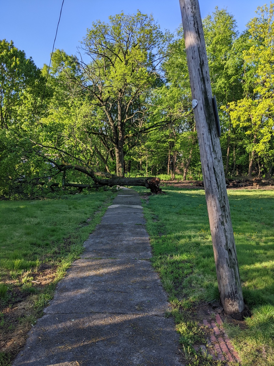 Photographic documentation of the work as submitted to the city's 311 record.