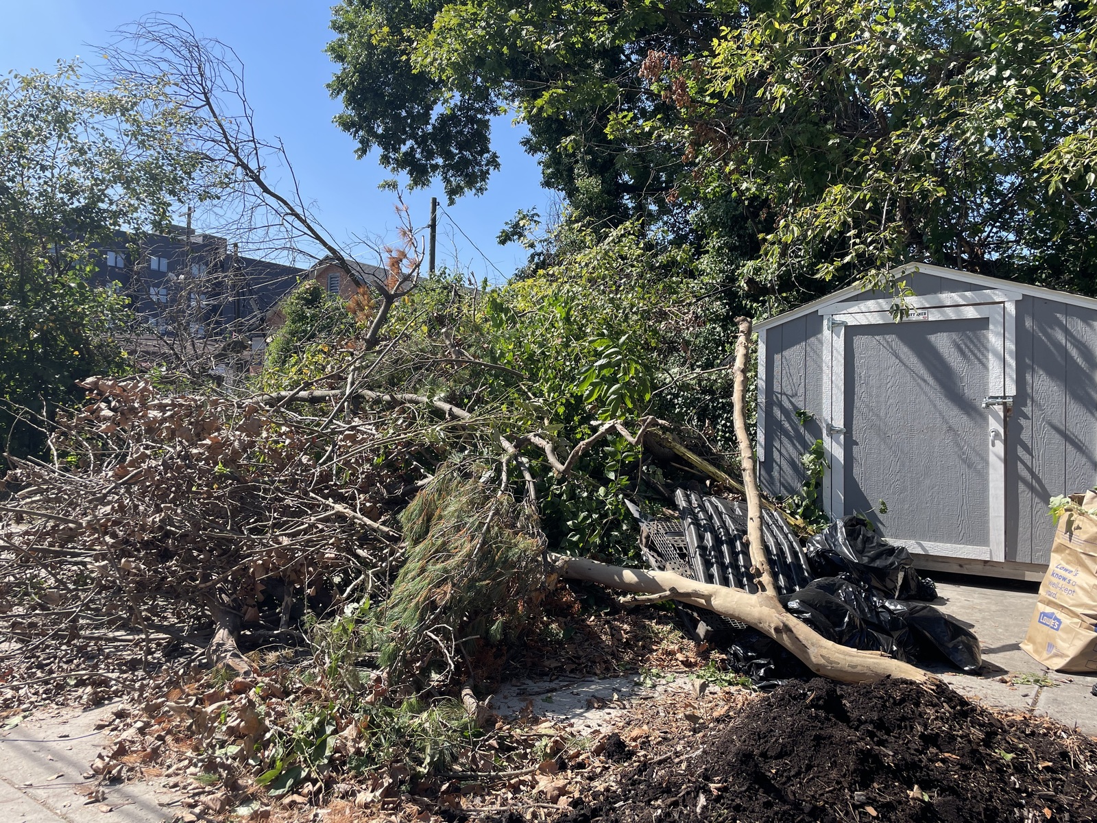 Photographic documentation of the work as submitted to the city's 311 record.