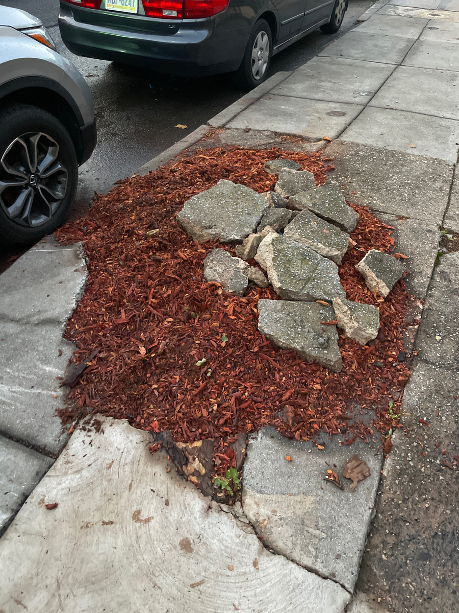 Photographic documentation of the work as submitted to the city's 311 record.