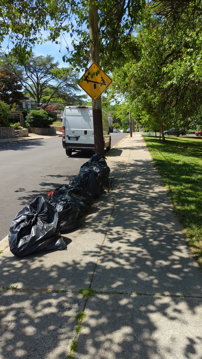 Photographic documentation of the work as submitted to the city's 311 record.