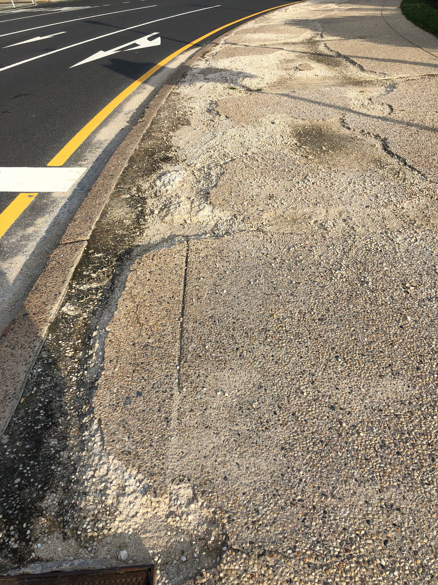 Photographic documentation of the work as submitted to the city's 311 record.