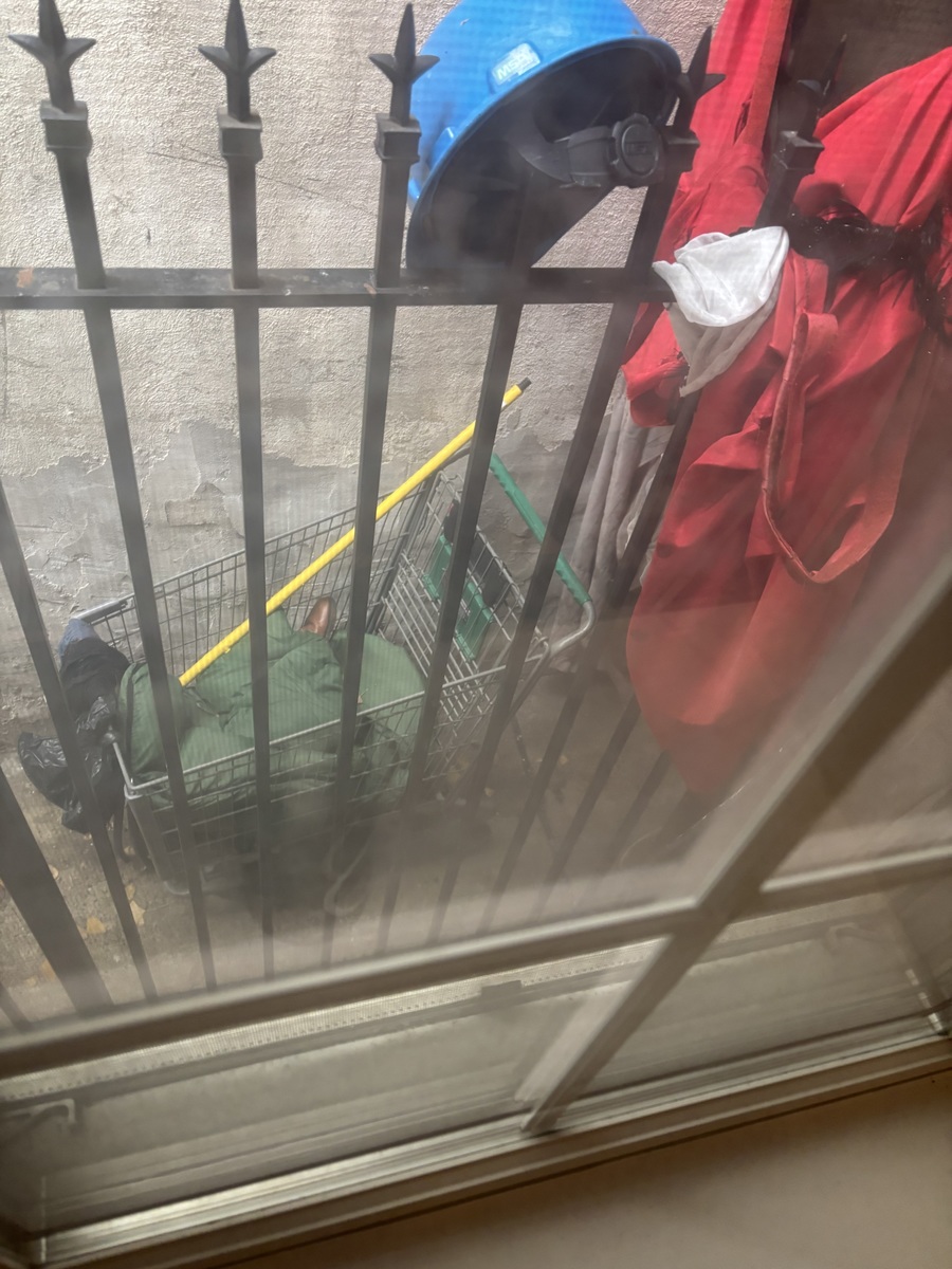Photographic documentation of the work as submitted to the city's 311 record.