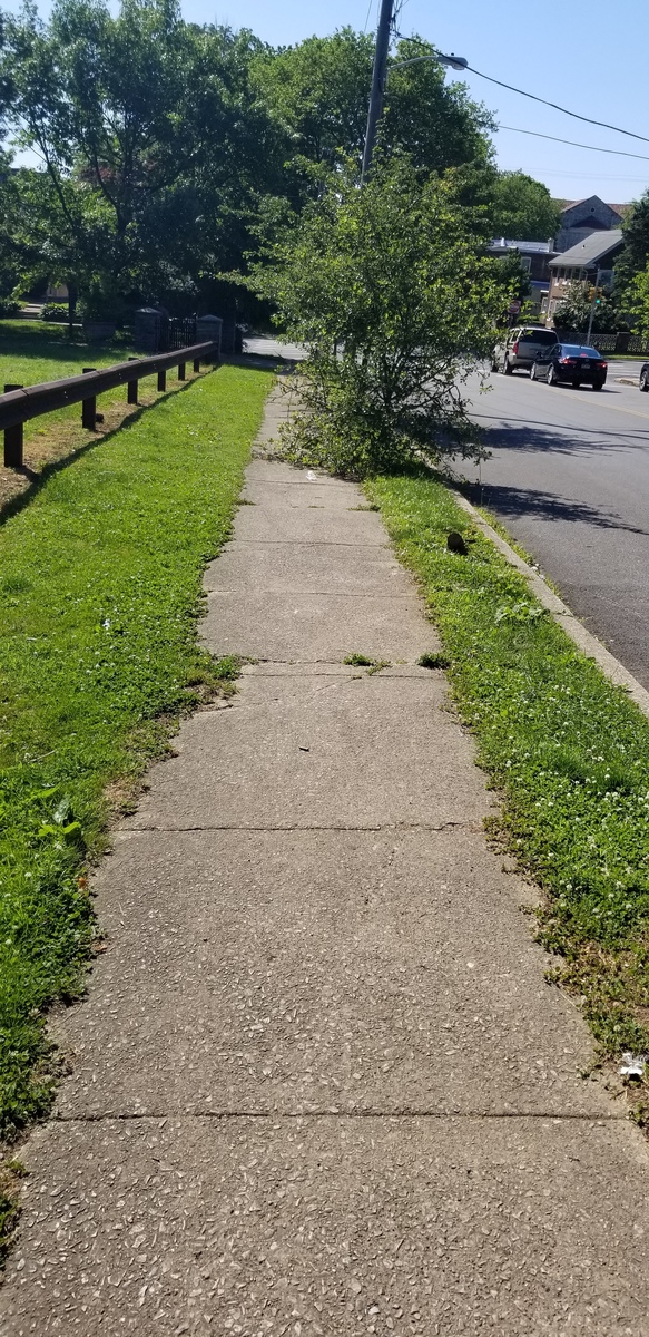 Photographic documentation of the work as submitted to the city's 311 record.