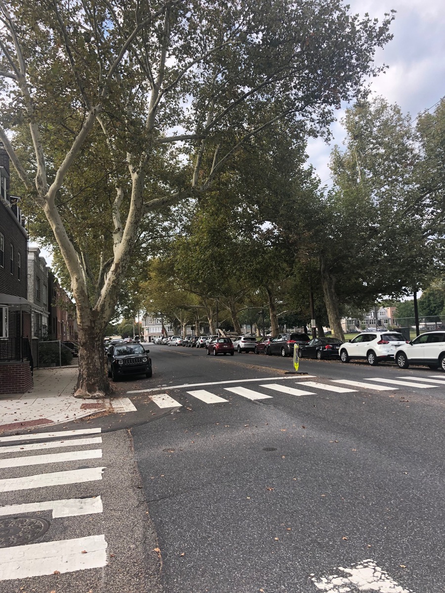 Photographic documentation of the work as submitted to the city's 311 record.