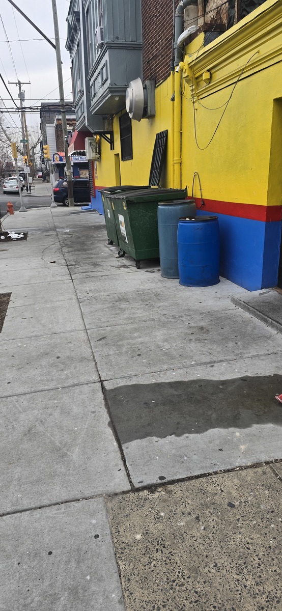 Photographic documentation of the work as submitted to the city's 311 record.