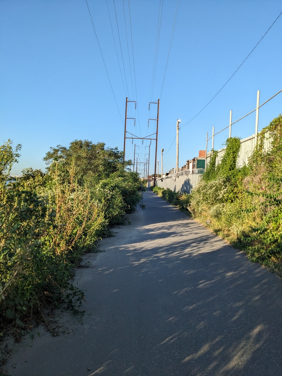 Photographic documentation of the work as submitted to the city's 311 record.