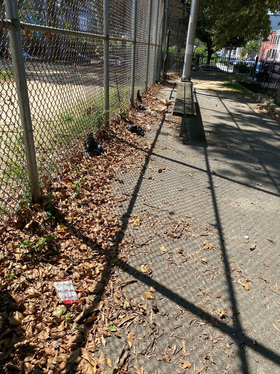 Photographic documentation of the work as submitted to the city's 311 record.