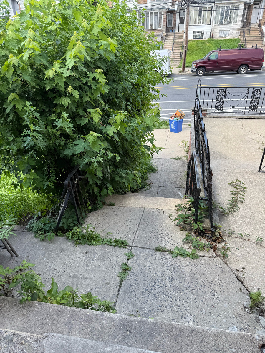 Photographic documentation of the work as submitted to the city's 311 record.