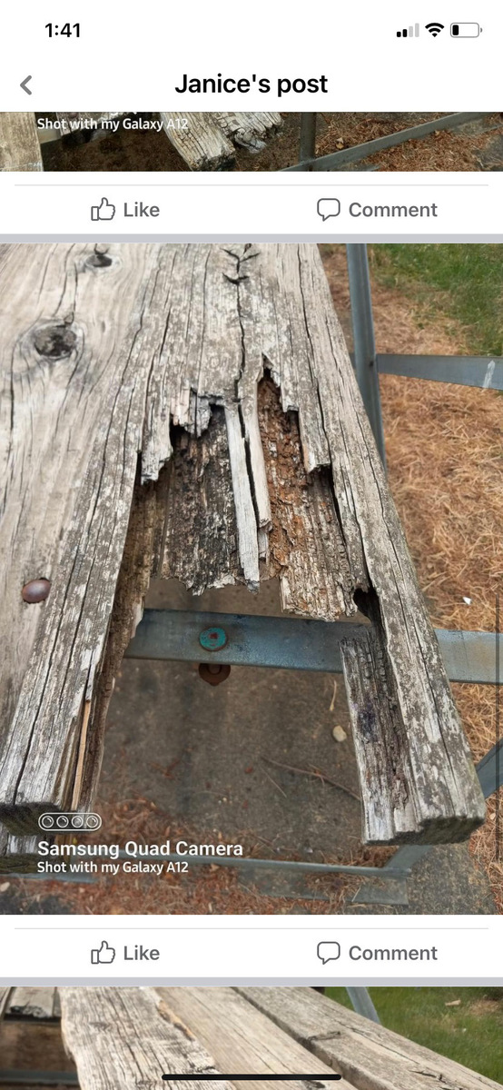 Photographic documentation of the work as submitted to the city's 311 record.