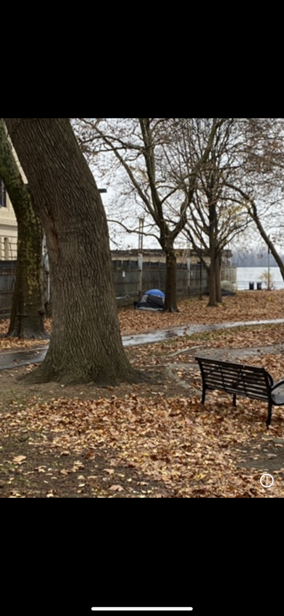 Photographic documentation of the work as submitted to the city's 311 record.