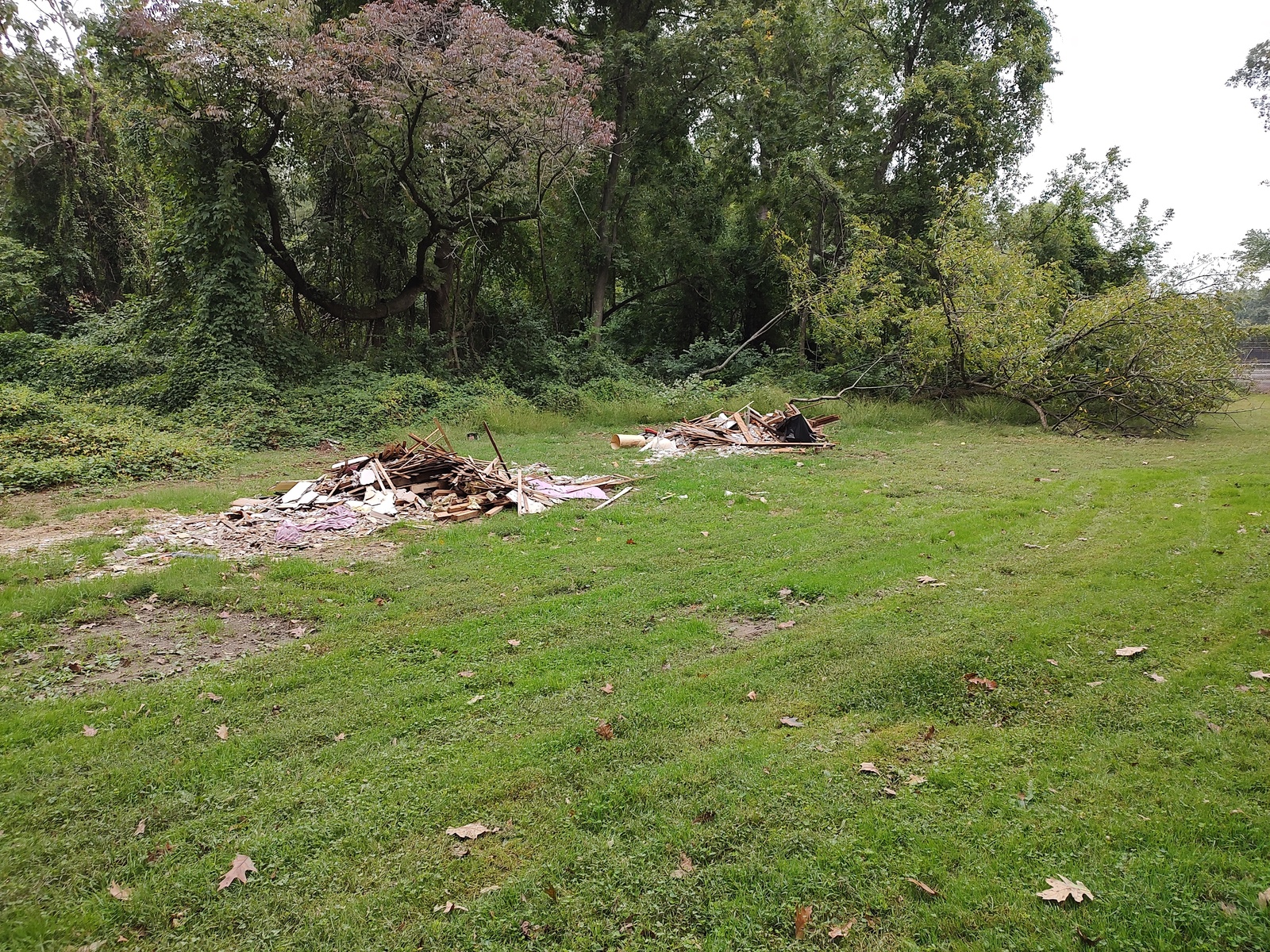 Photographic documentation of the work as submitted to the city's 311 record.
