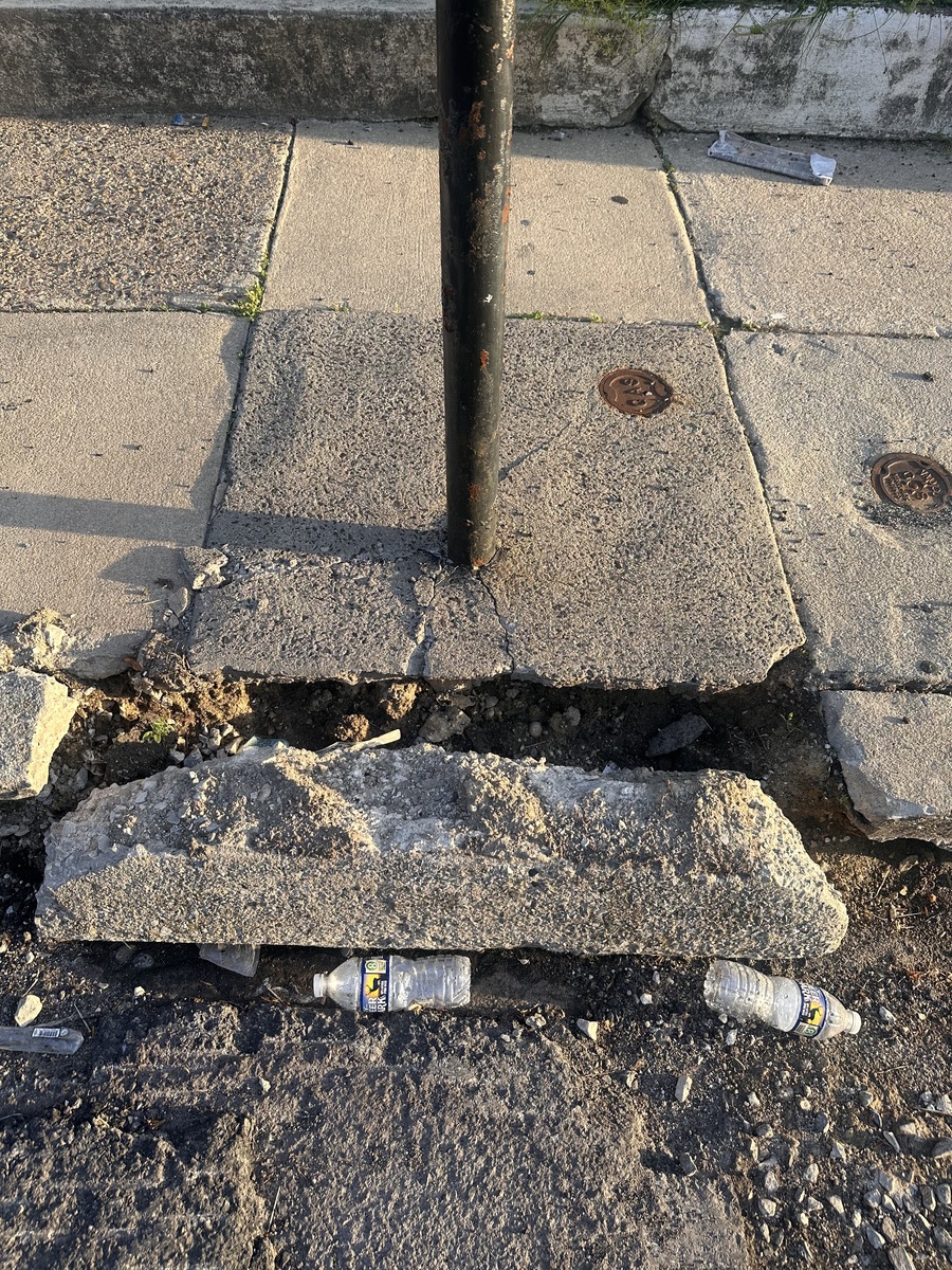 Photographic documentation of the work as submitted to the city's 311 record.