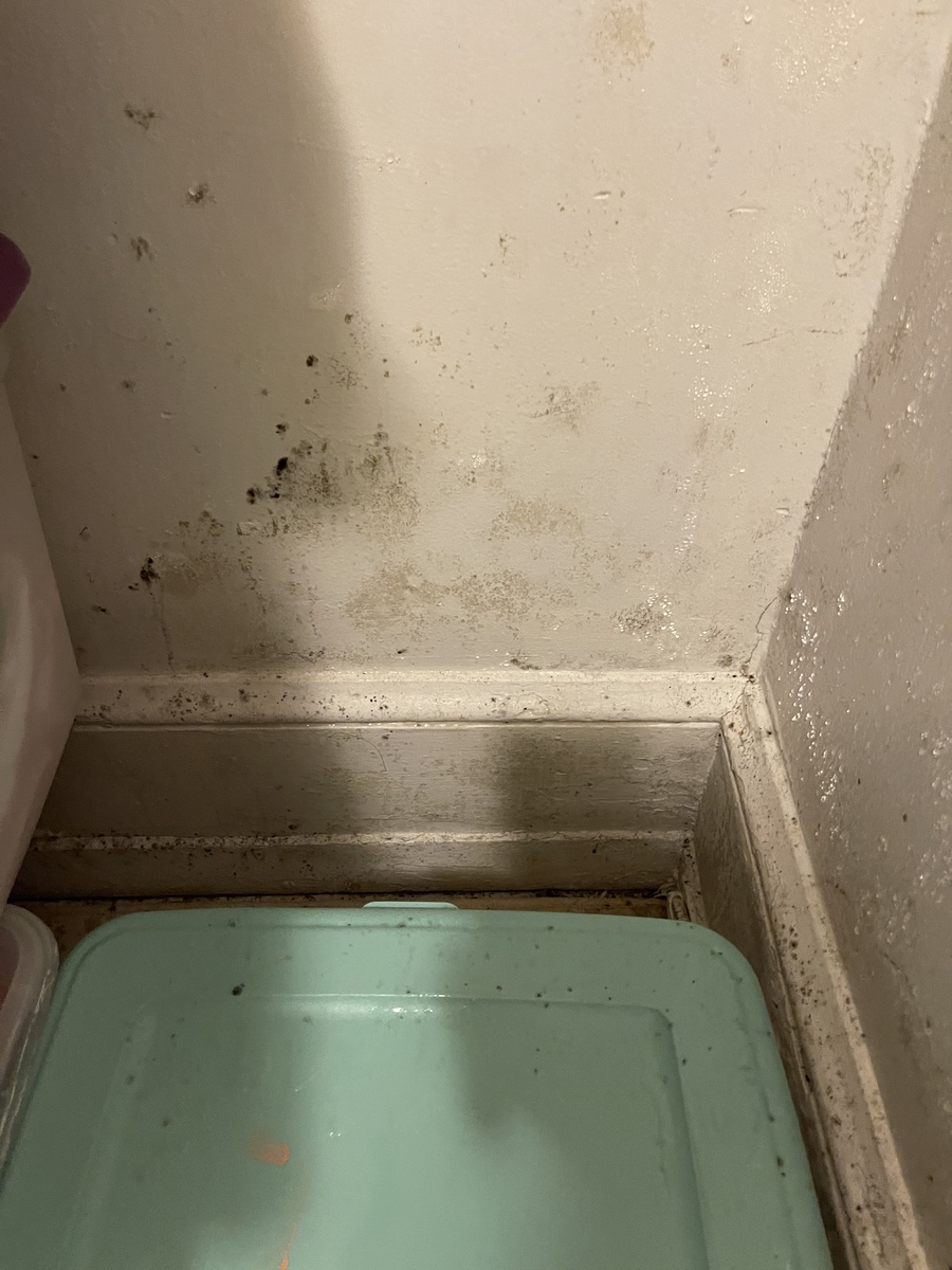 Photographic documentation of the work as submitted to the city's 311 record.